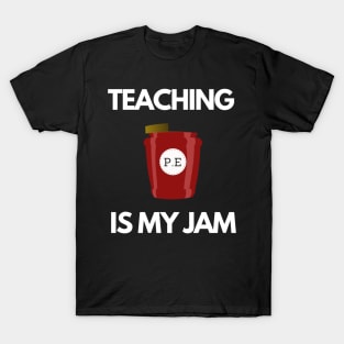 Best Appreciation PE Teacher Gift Idea T-Shirt